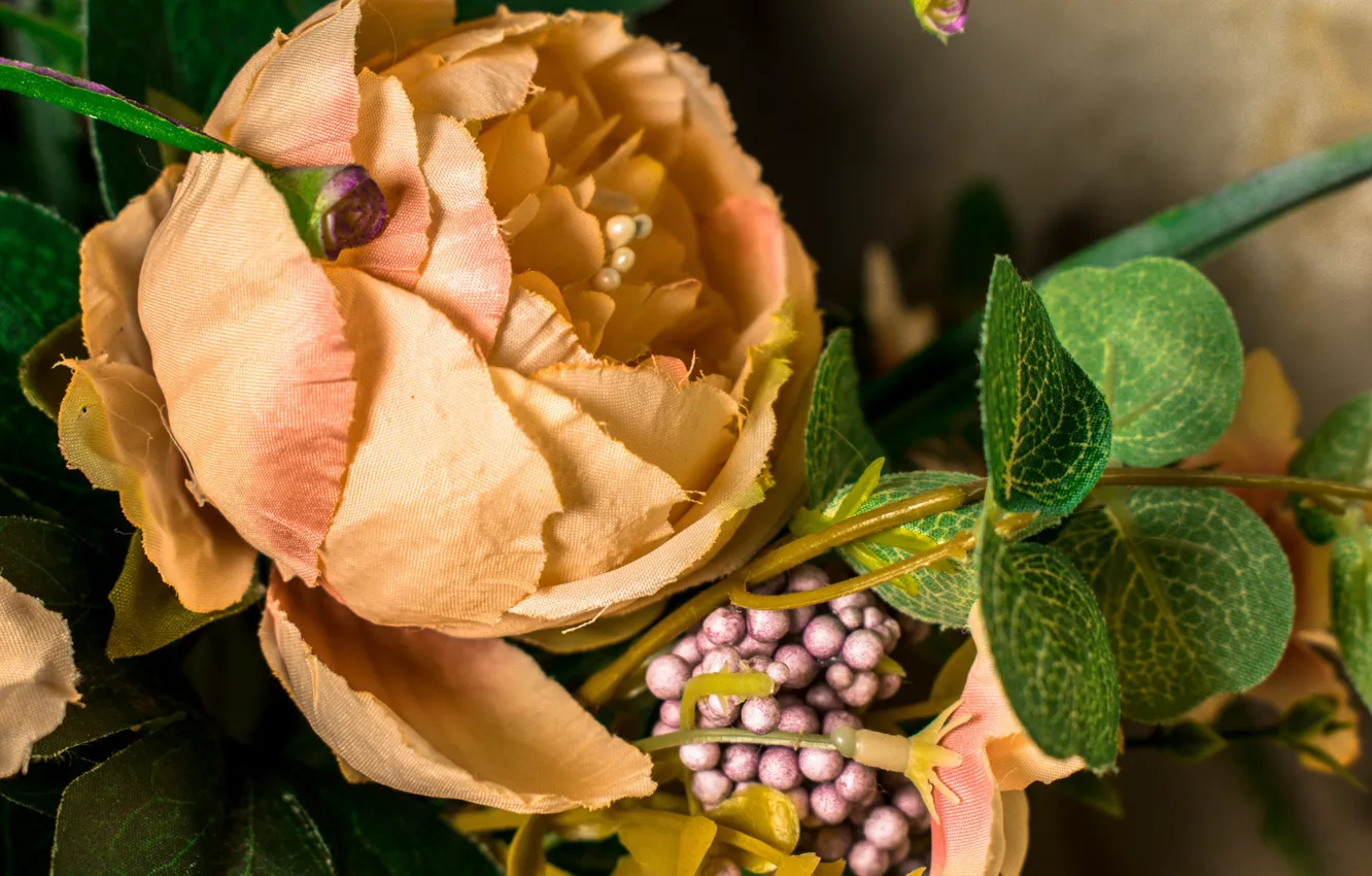 Photo wallpaper flowers, roses, flowers