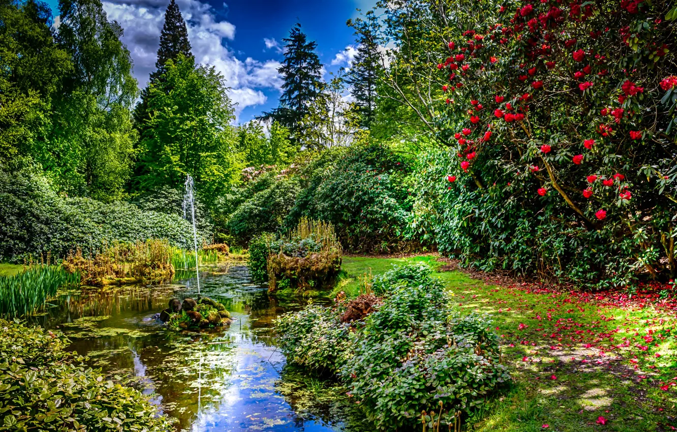 Photo wallpaper greens, grass, trees, pond, Park, petals, UK, fountain