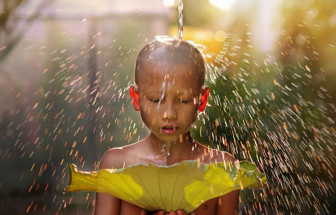 Photo wallpaper leaves, water, light, children, boy, monk