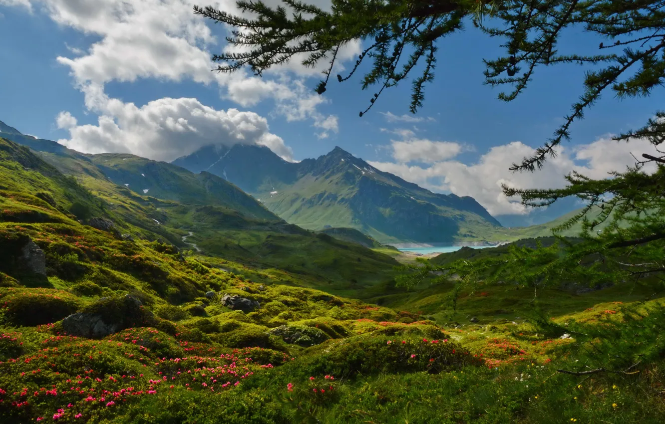 Photo wallpaper grass, clouds, flowers, mountains, lake, France, Alps, Sunny