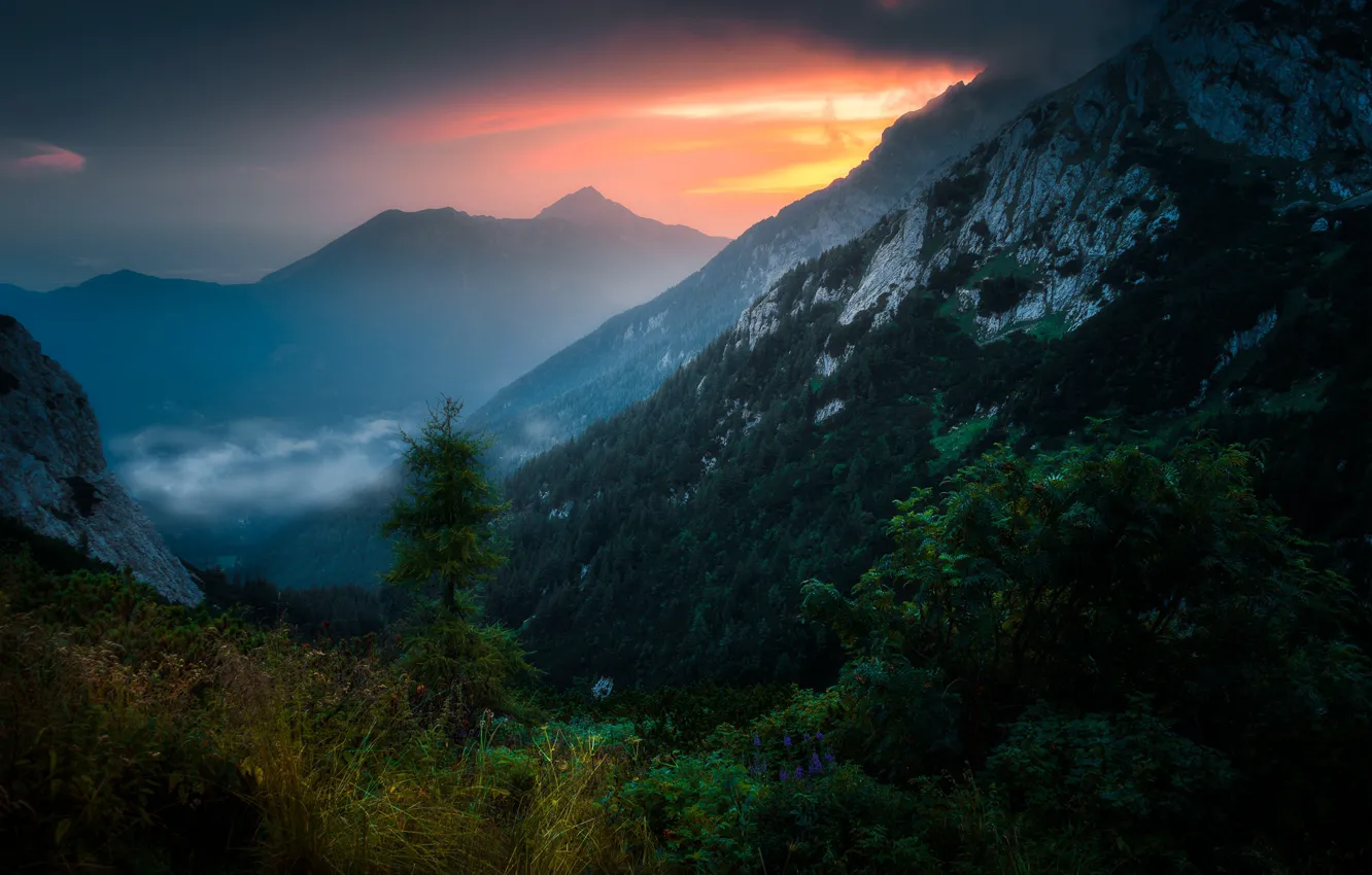 Photo wallpaper mountains, fog, morning