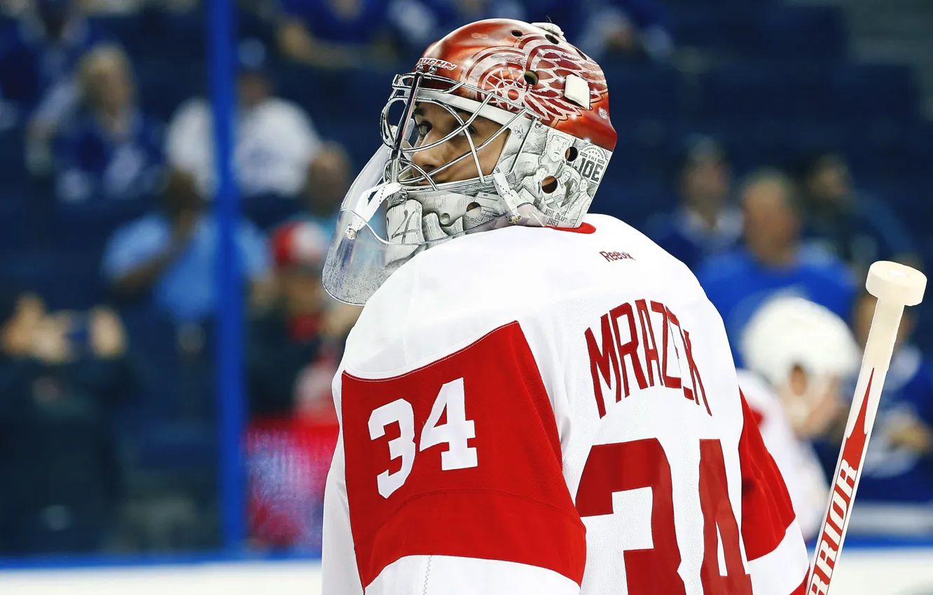 Photo wallpaper ice, sport, the game, athlete, Peter, hockey, equipment, Detroit