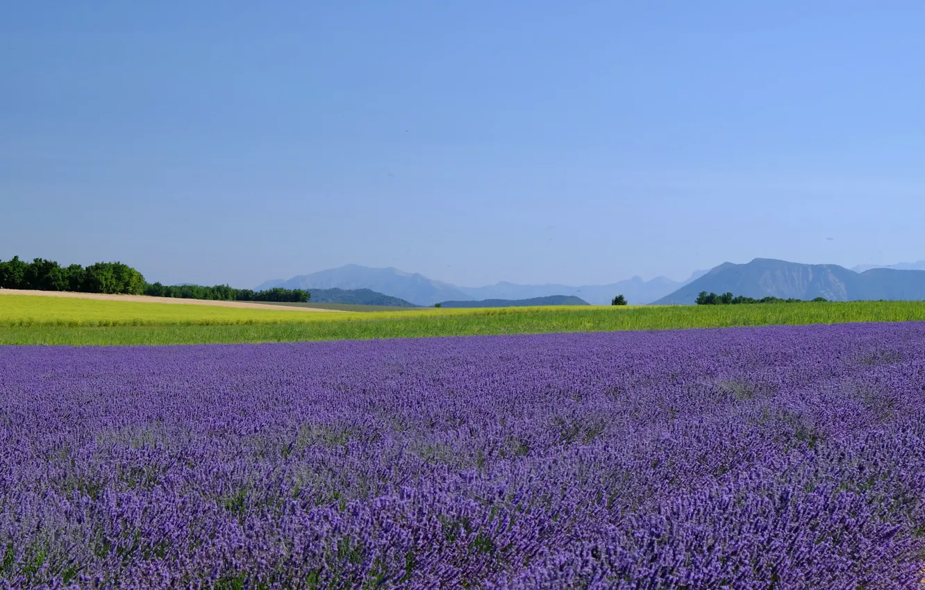 Photo wallpaper field, the sky, mountains, horizon, farm, lavender, lavender field