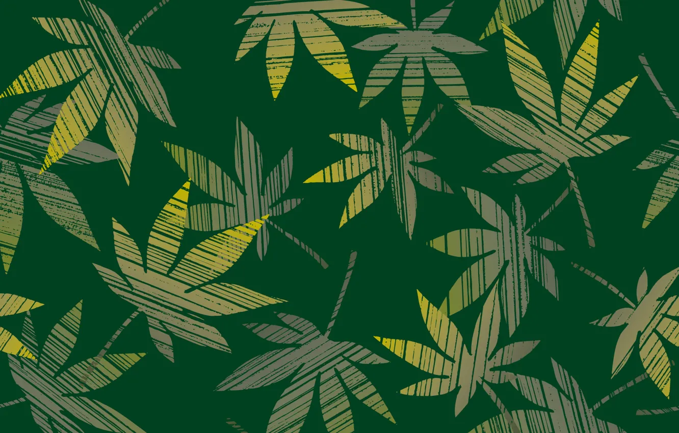Photo wallpaper leaves, green, hemp
