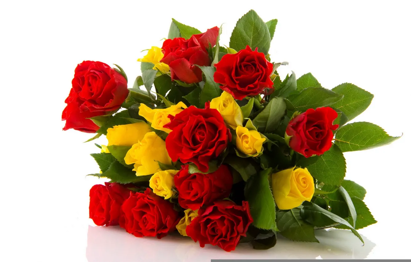 Photo wallpaper red, flower, Rose, yellow
