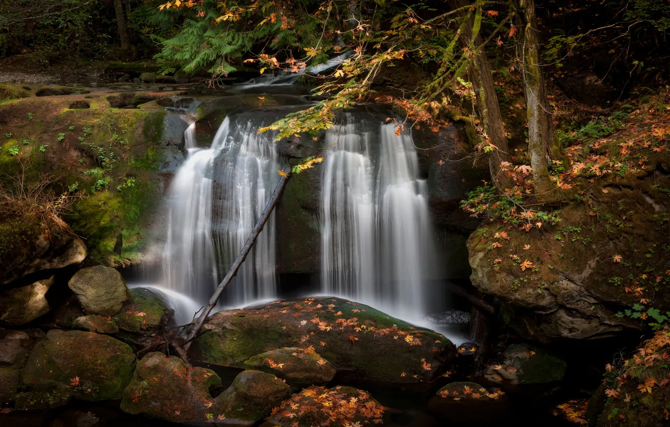 Photo wallpaper autumn, trees, branches, stones, rocks, shore, foliage, waterfall