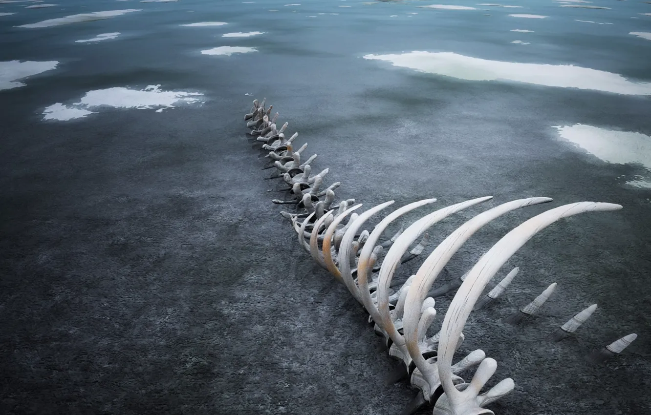 Photo wallpaper ice, 154, bones, skeleton