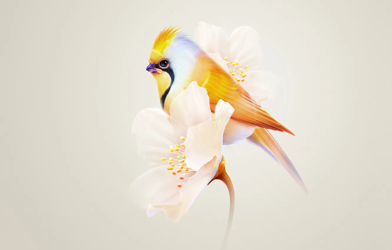Photo wallpaper minimal, flower, bird, sitting