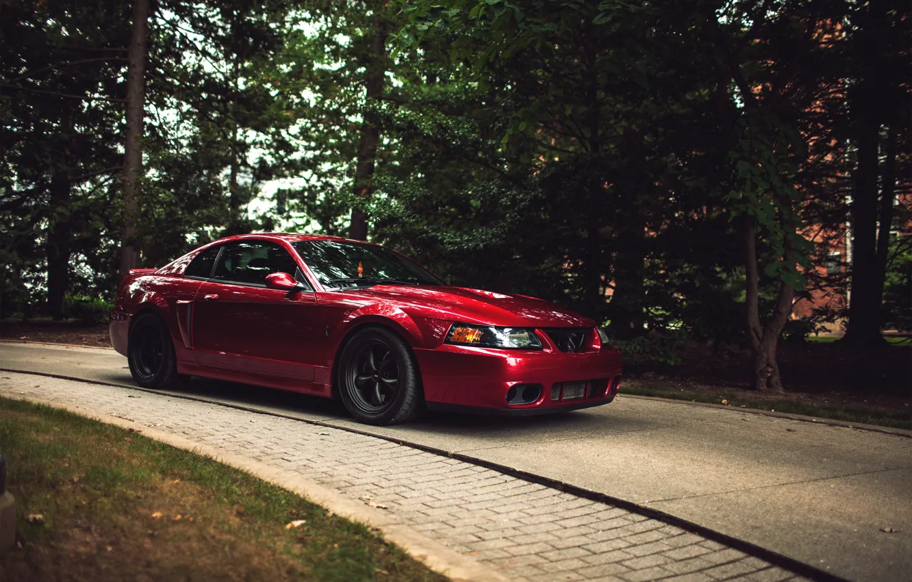 Photo wallpaper forest, red, red, ford mustang, cobra, Ford Mustang