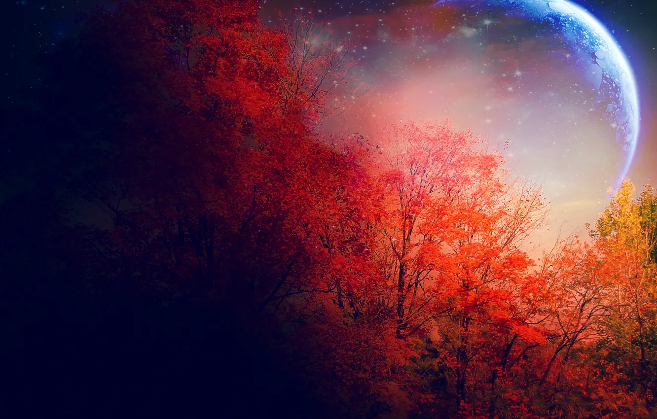 Photo wallpaper autumn, trees, the moon, stars, red