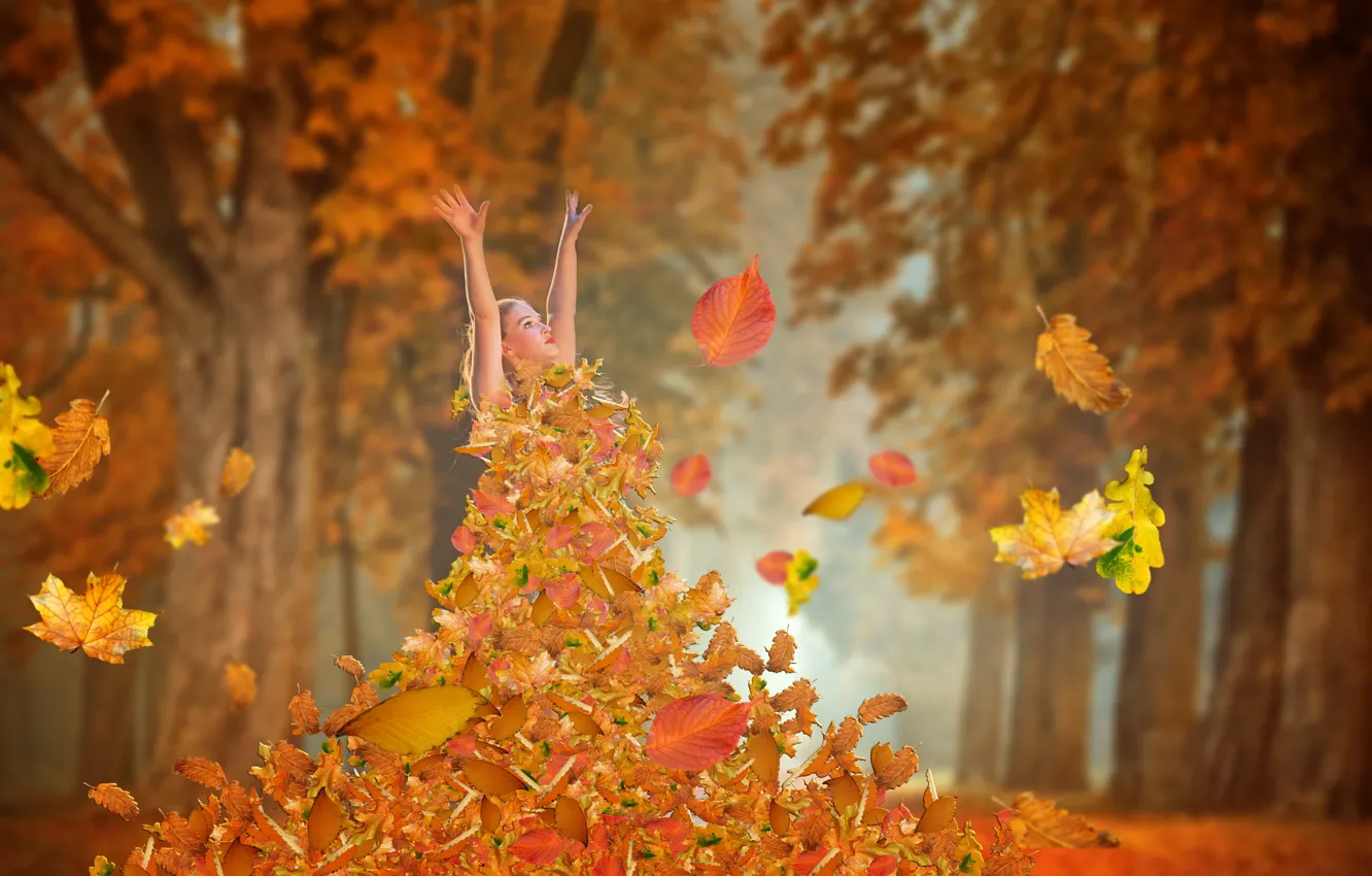 Photo wallpaper autumn, forest, girl, foliage