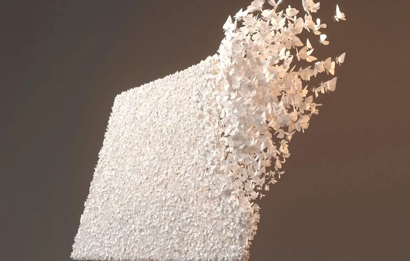 Photo wallpaper computer, monitor, screen, butterfly effect