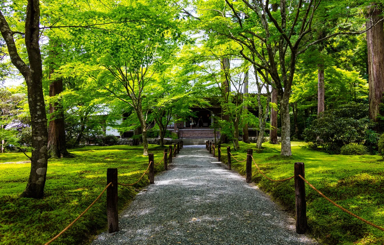 Photo wallpaper greens, grass, trees, Park, Japan, the fence, track, Kyoto