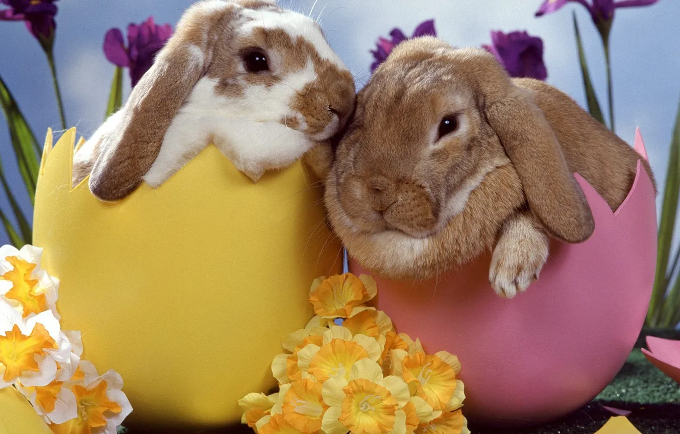 Photo wallpaper flowers, eggs, Rabbits, Easter