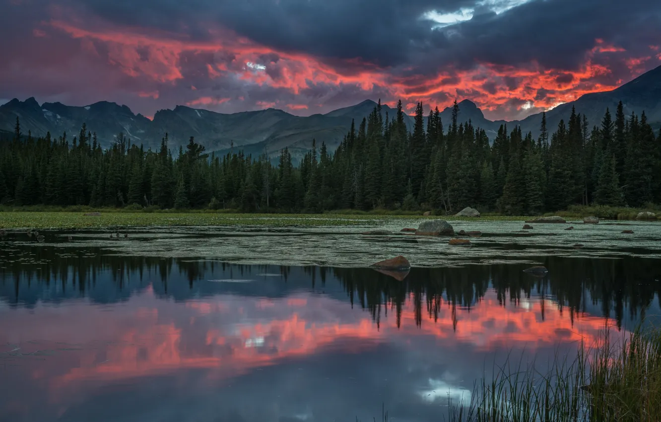 Photo wallpaper forest, the sky, clouds, mountains, clouds, river