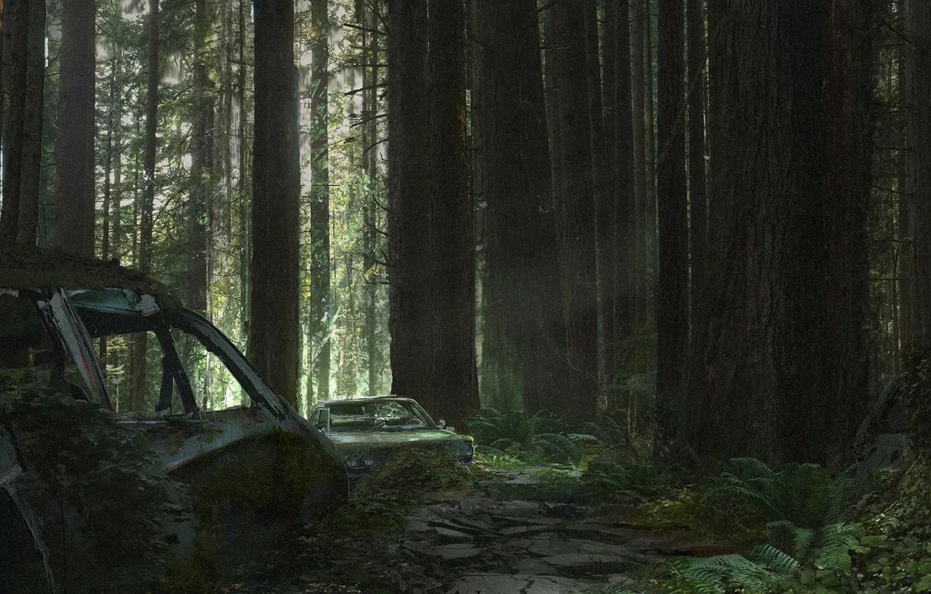 Photo wallpaper forest, overgrown, blake rottinger, overgrown
