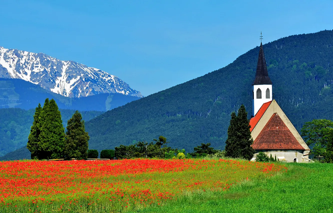Photo wallpaper trees, flowers, mountains, Maki, Austria, Alps, meadow, Church