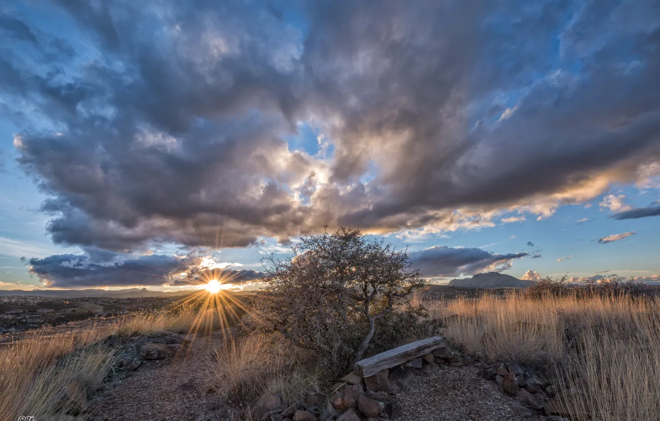 Photo wallpaper the sun, trees, sunset, hills, USA, Arizona, Prescott, viceo