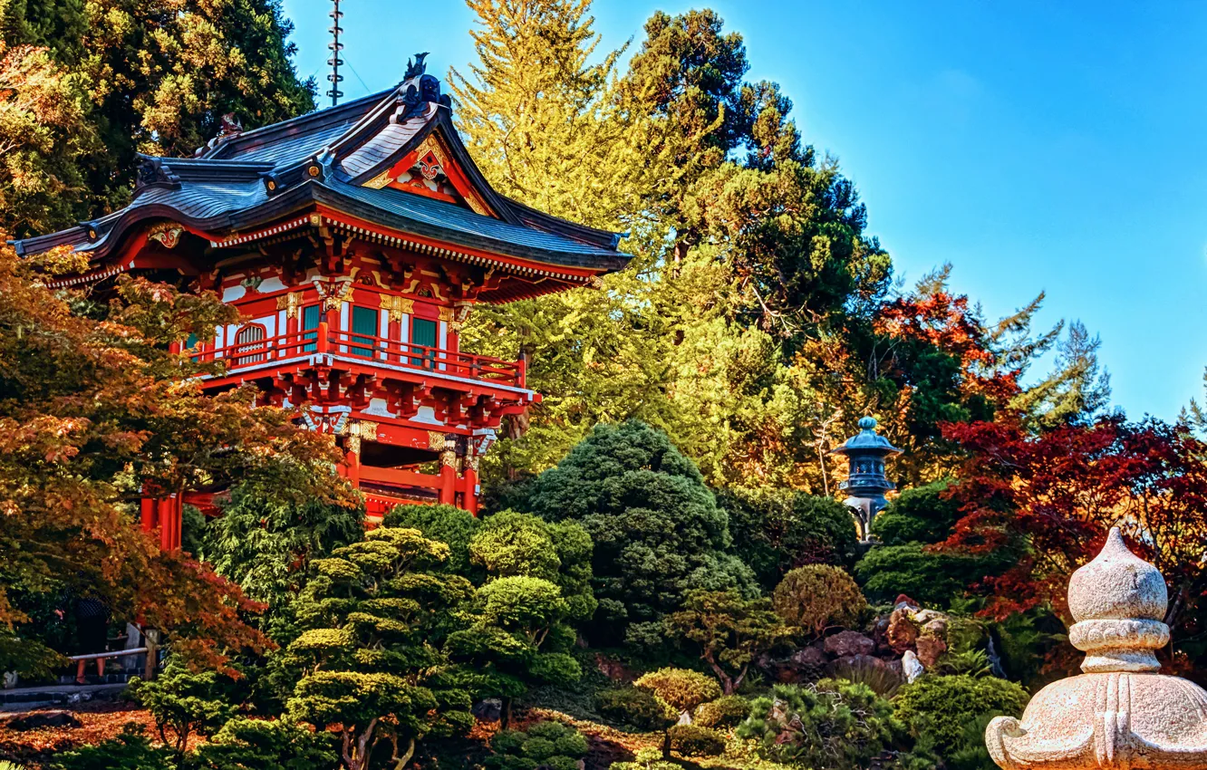 Photo wallpaper trees, Park, home, CA, USA, Disneyland, the bushes, Anaheim