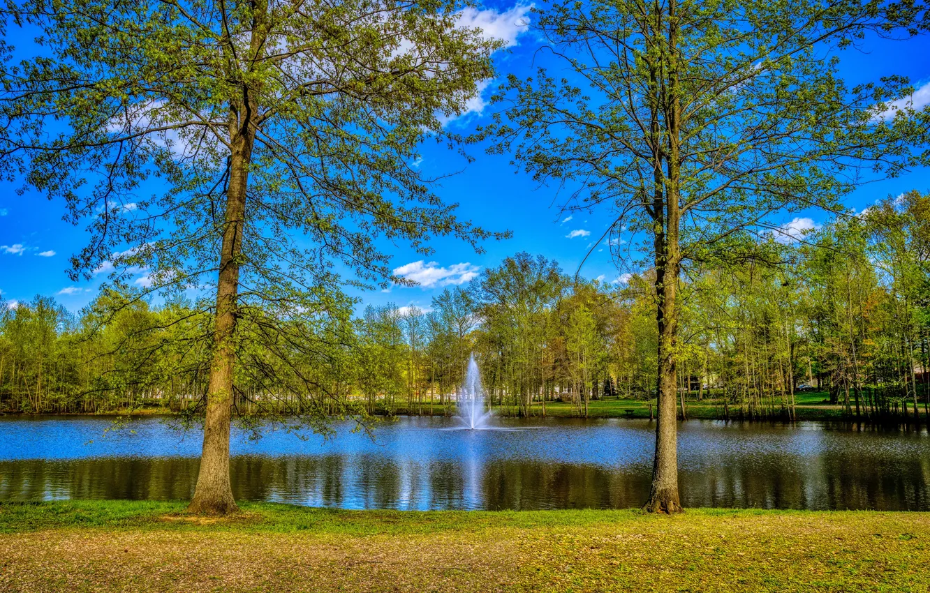 Photo wallpaper greens, the sky, the sun, clouds, trees, pond, Park, fountain