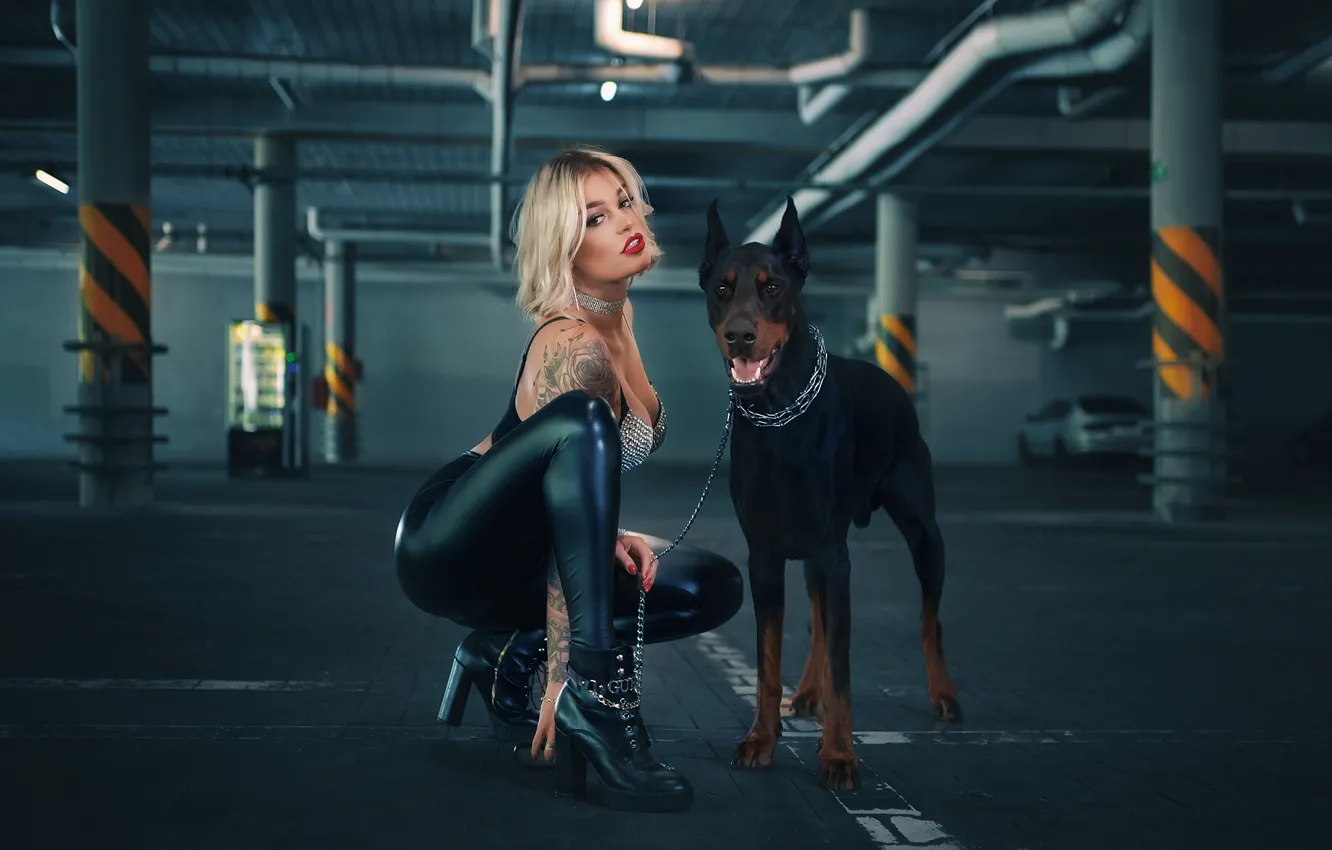 Photo wallpaper look, Sabaki, tattoo, blonde, tattoo, Parking, Doberman, Adrianna