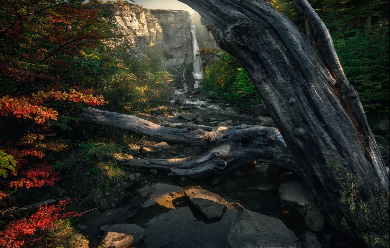 Photo wallpaper autumn, mountains, nature, stones, foliage, waterfall, trunk, snag