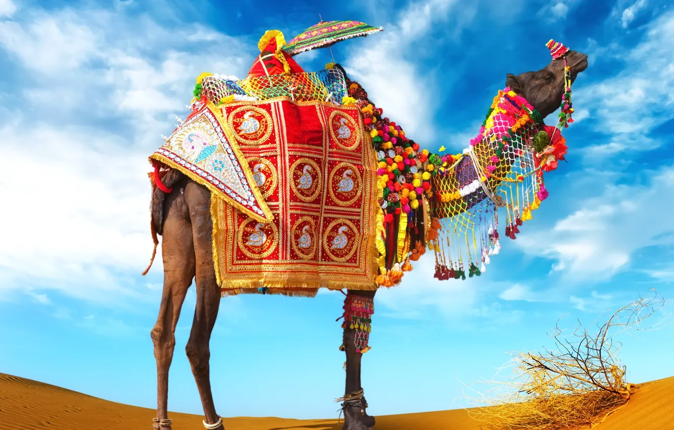 Photo wallpaper sand, umbrella, urblud