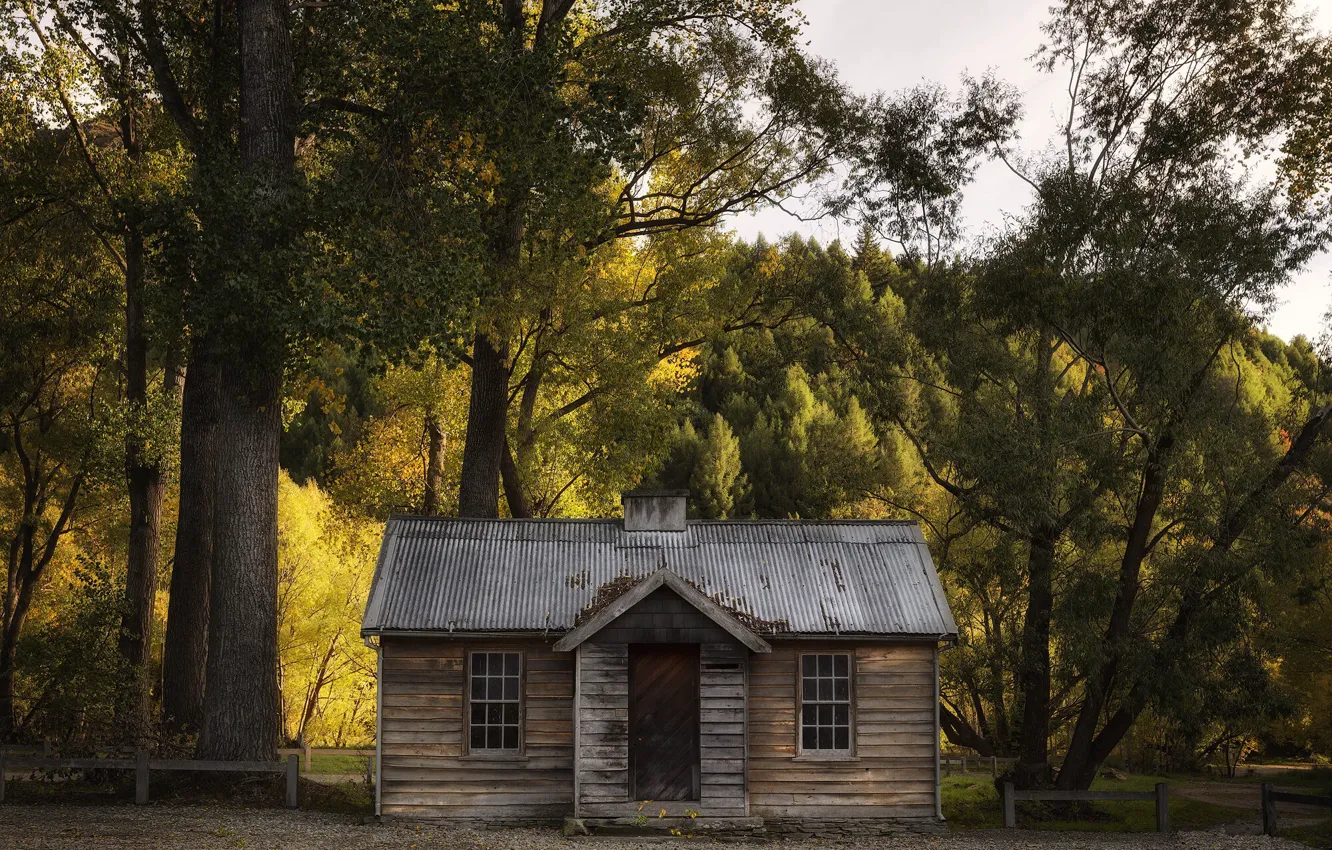 Photo wallpaper autumn, forest, home