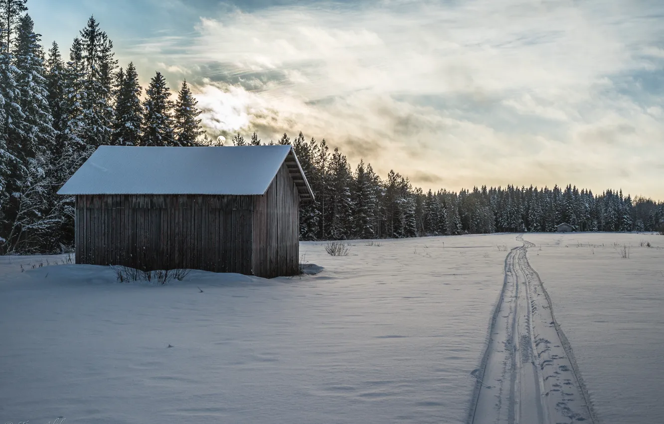 Photo wallpaper winter, field, snow, traces, home