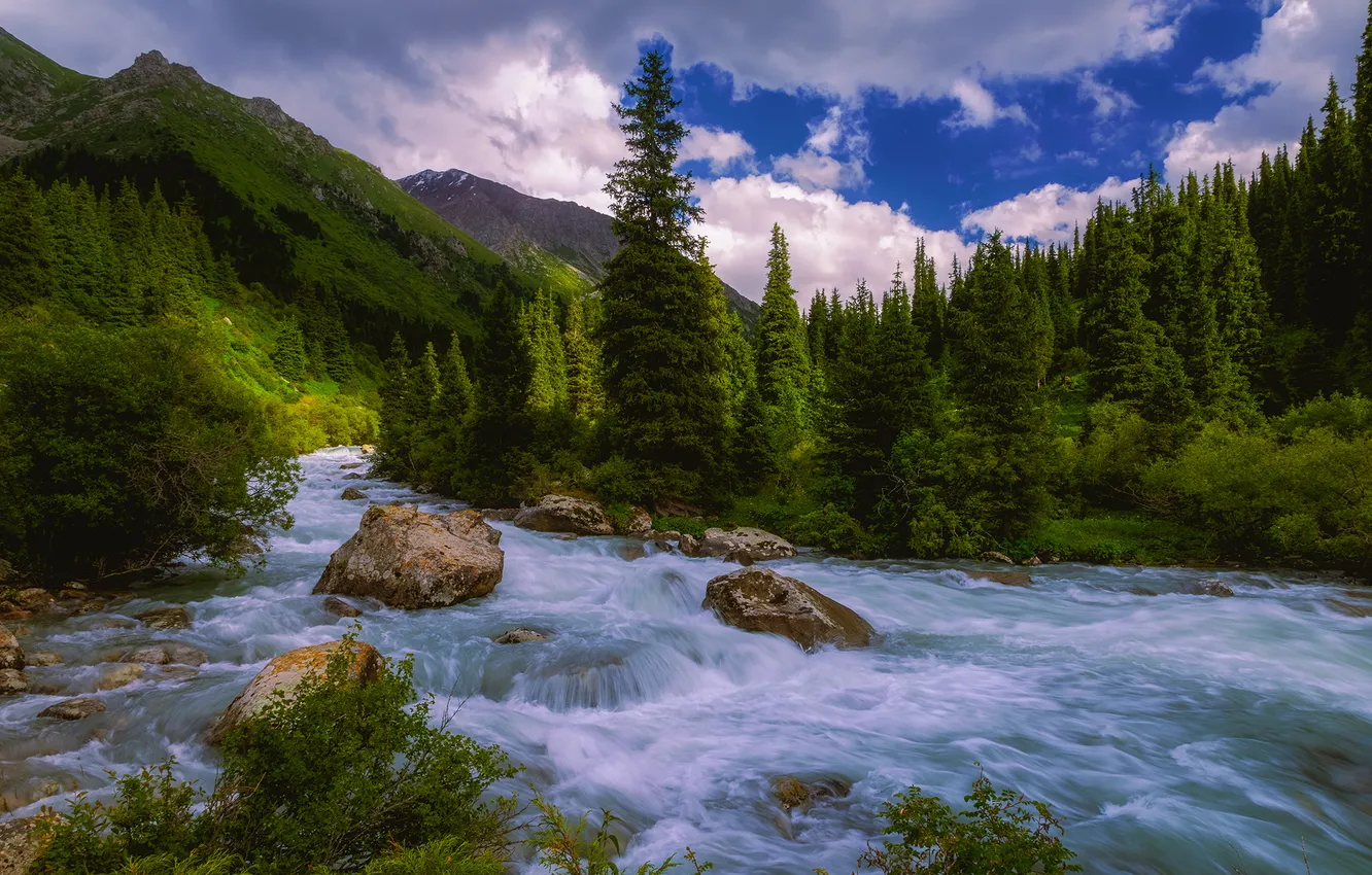 Photo wallpaper forest, mountains, river, stones, stream, Kazakhstan, The Turgen River, Elina Magalimova