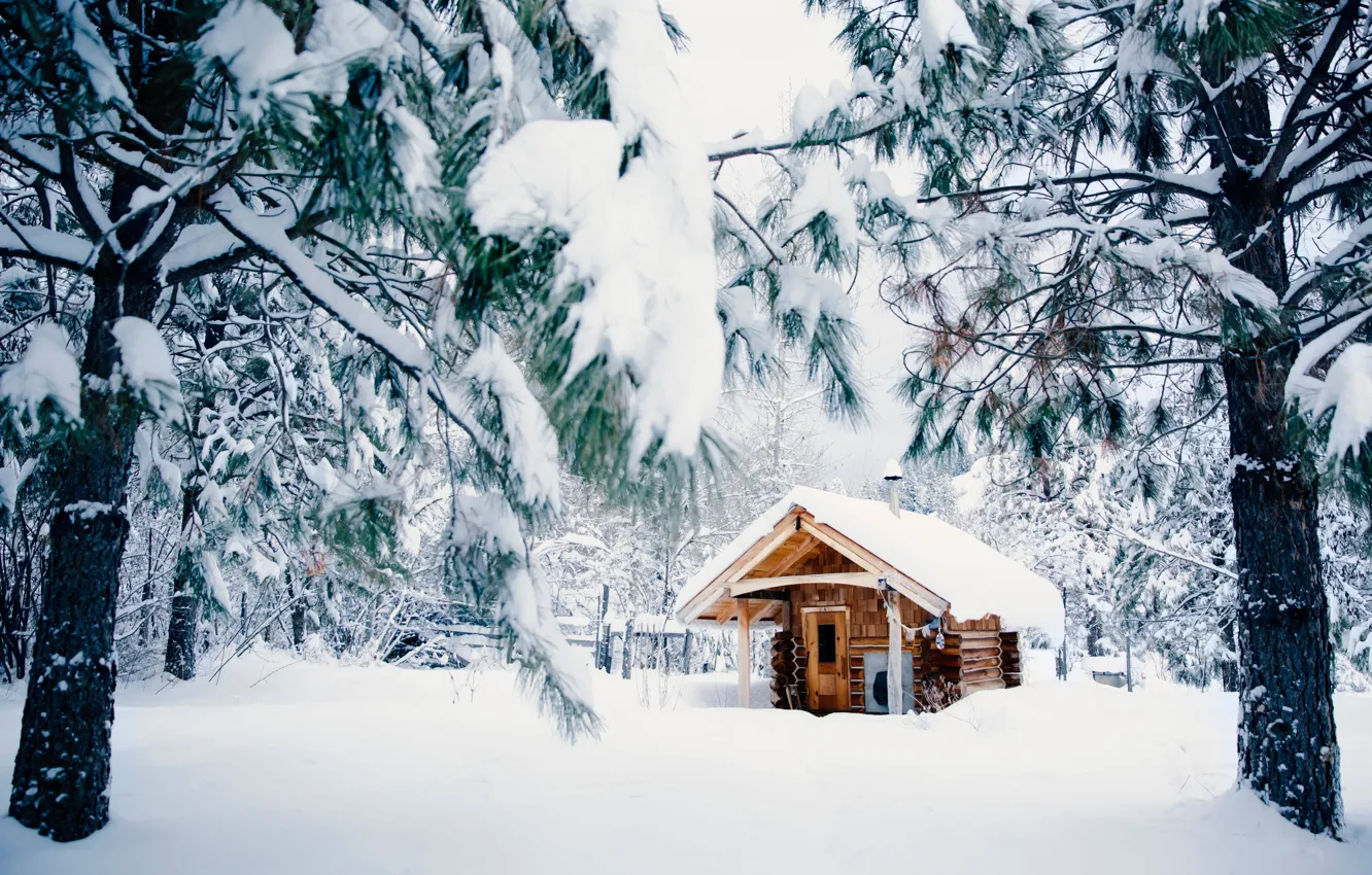 Photo wallpaper Nature, Winter, Snow, House, House, Nature, Winter, Snow