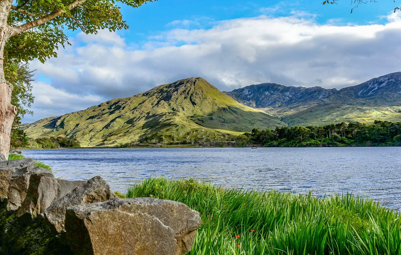 Photo wallpaper grass, clouds, trees, mountains, river, stones, shore, Ireland