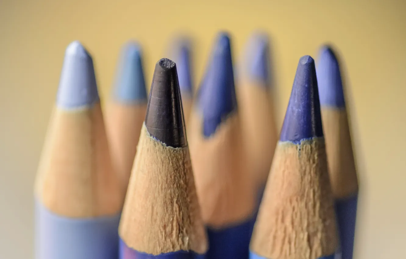Photo wallpaper macro, background, pencils