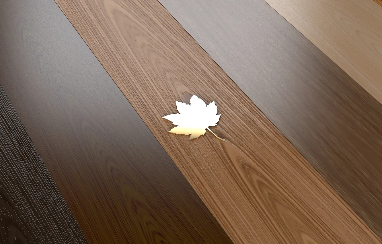 Photo wallpaper sheet, tree, flooring, maple