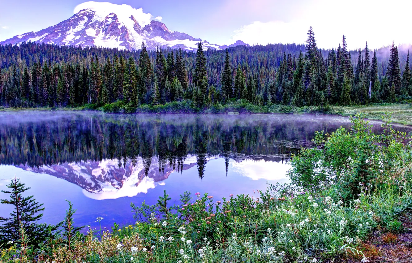 Photo wallpaper the sky, snow, trees, flowers, mountains, lake, spruce, spring