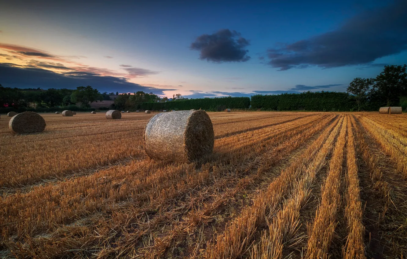 Photo wallpaper field, autumn, hay, bales, the end of summer, Kip