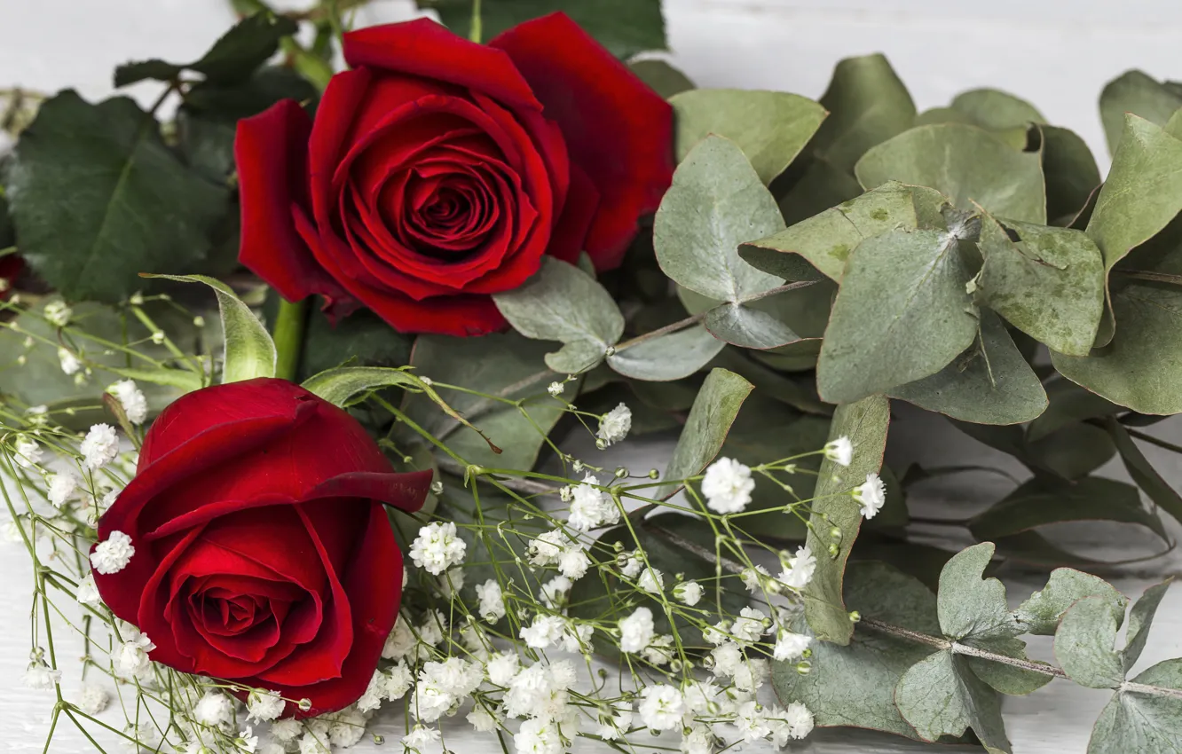 Photo wallpaper flowers, roses, bouquet, buds