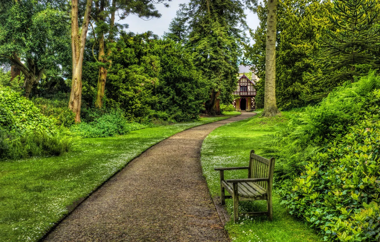 Photo wallpaper trees, bench, Park, HDR, home, track, UK, alley
