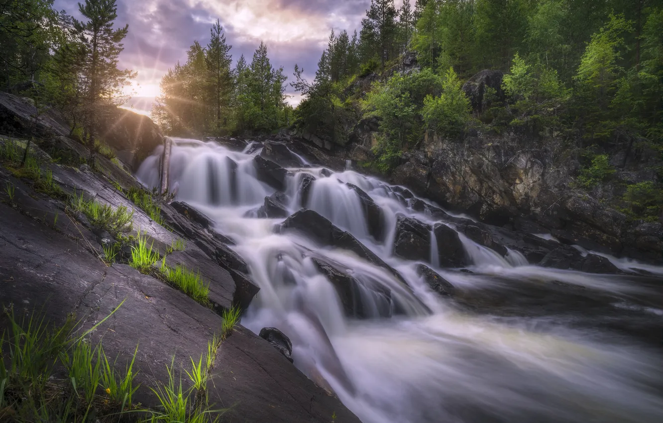 Photo wallpaper trees, river, stones, rocks, waterfall, Norway, cascade, Norway