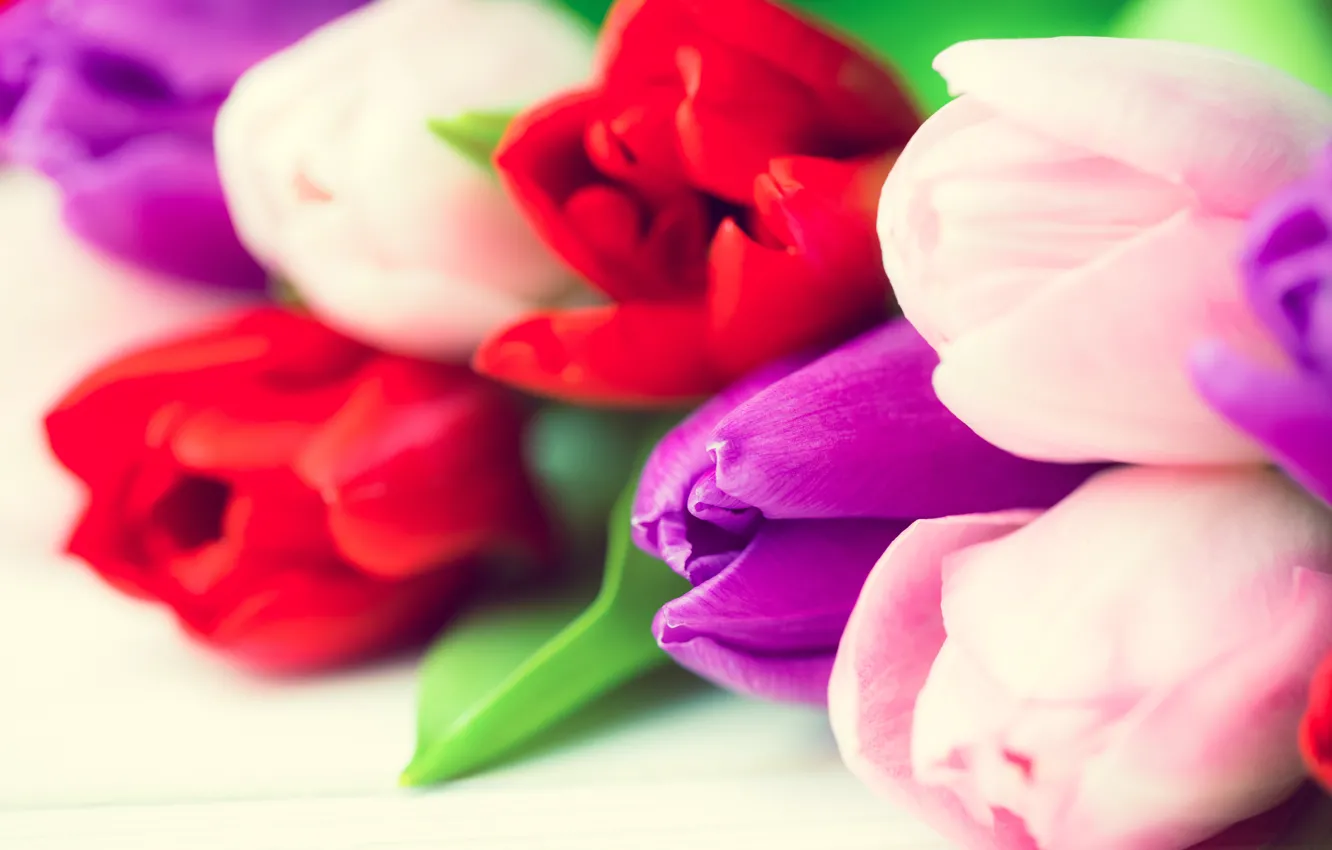 Photo wallpaper flowers, bouquet, colorful, tulips, red, white, wood, flowers