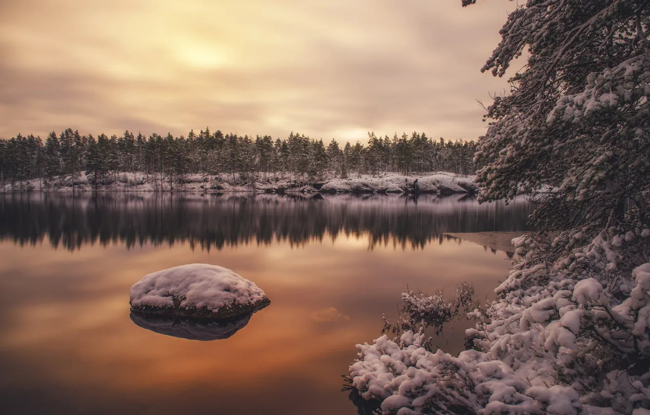 Photo wallpaper winter, forest, water, snow, trees, reflection, Finland
