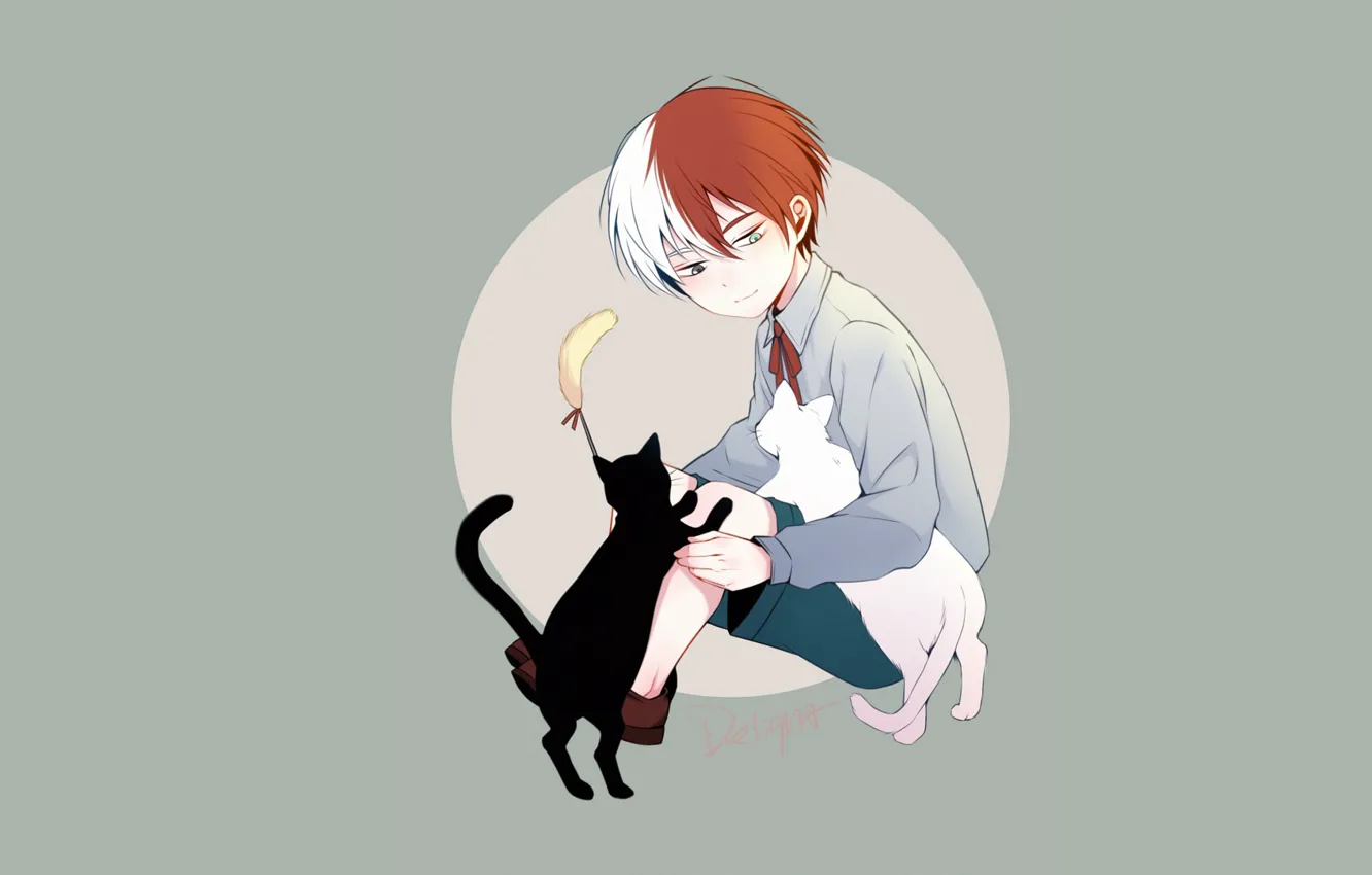 Photo wallpaper background, boy, Boku no Hero Academy, My hero Academy, My Hero Academia, Todoroki Shoto