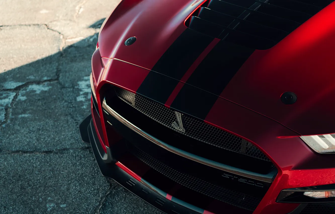 Photo wallpaper Mustang, Ford, Shelby, GT500, before, bloody, 2019