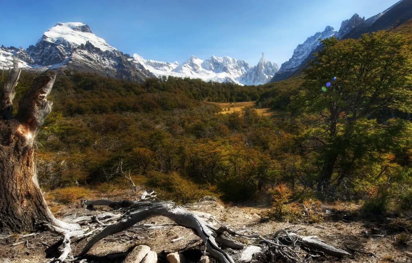 Photo wallpaper the sky, landscape, mountains, nature, plants, forest, forest, sky