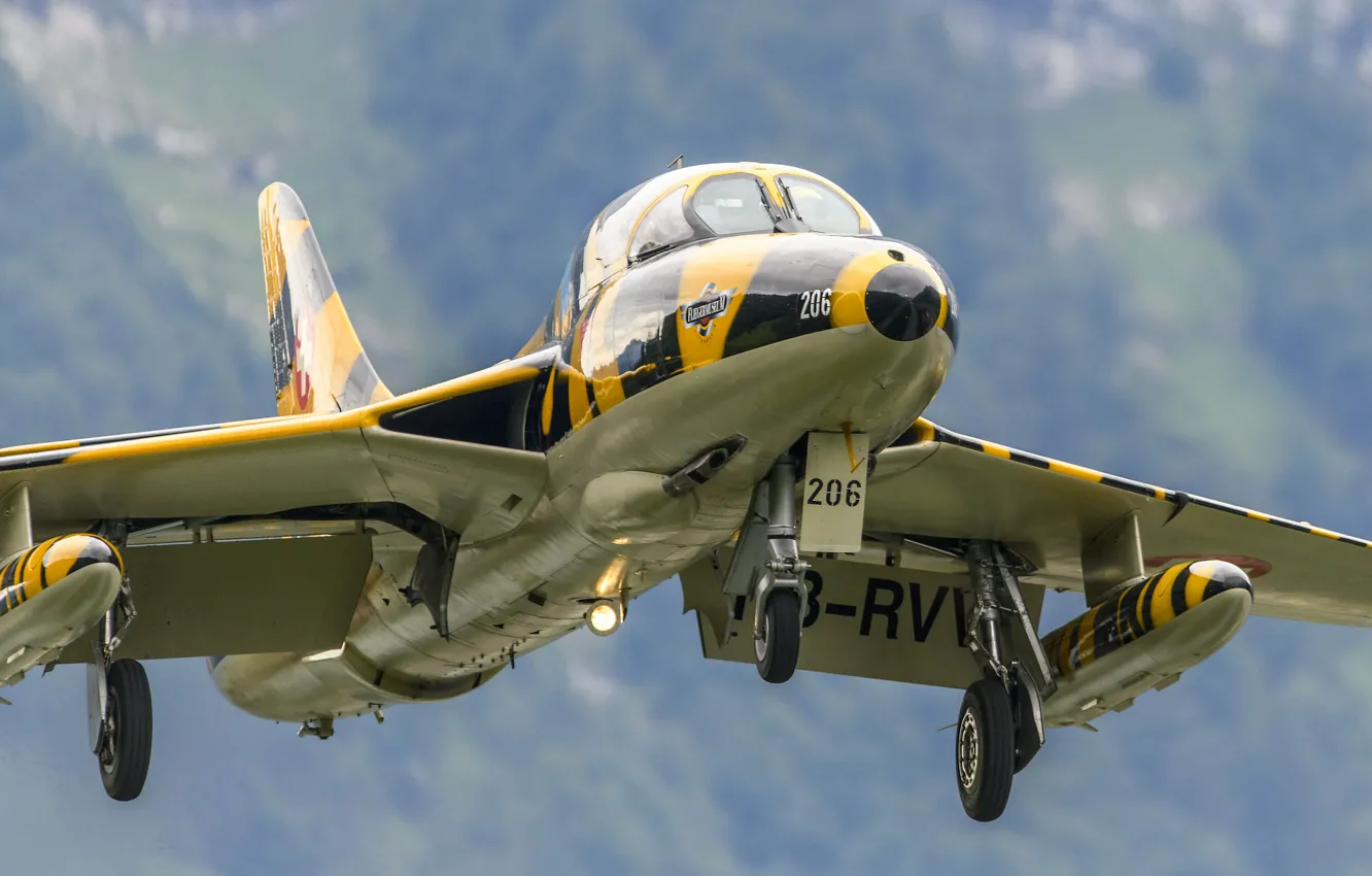 Photo wallpaper hunter, Hawker, T.68