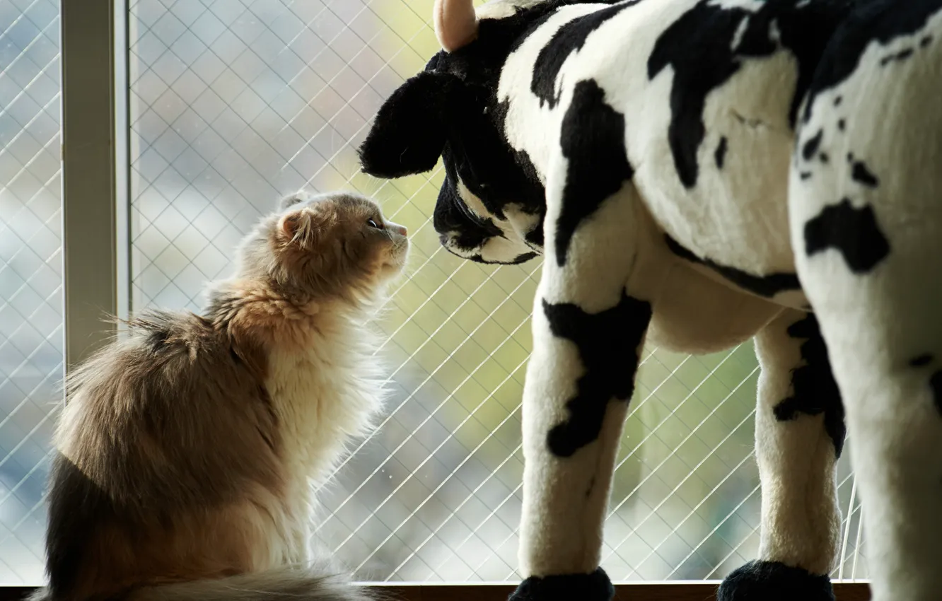 Photo wallpaper cat, cat, toy, cow, window