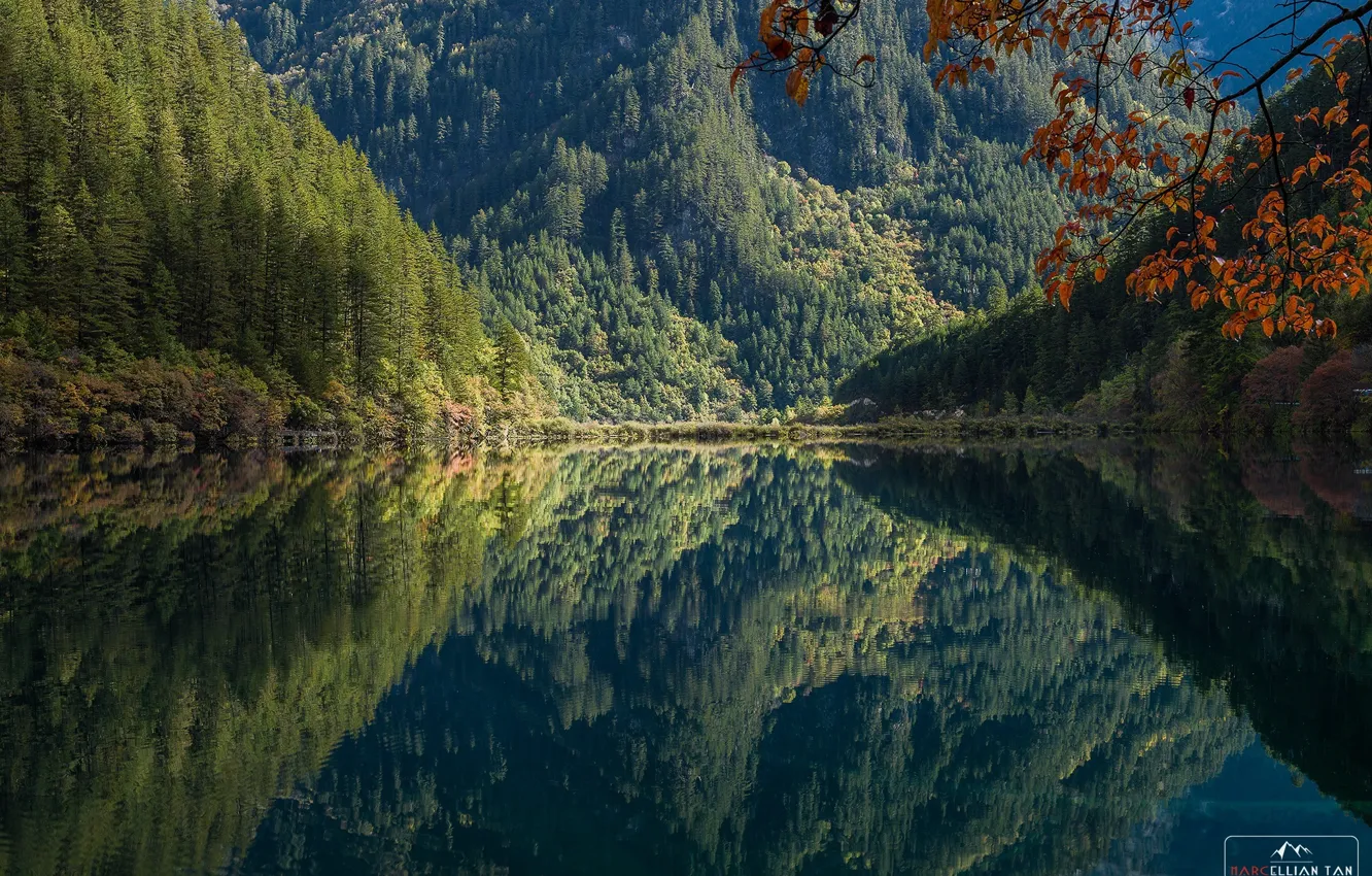 Photo wallpaper forest, trees, mountains, lake, reflection, morning