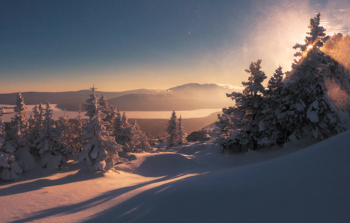 Photo wallpaper winter, snow, trees, landscape, mountains, nature, morning, shadows
