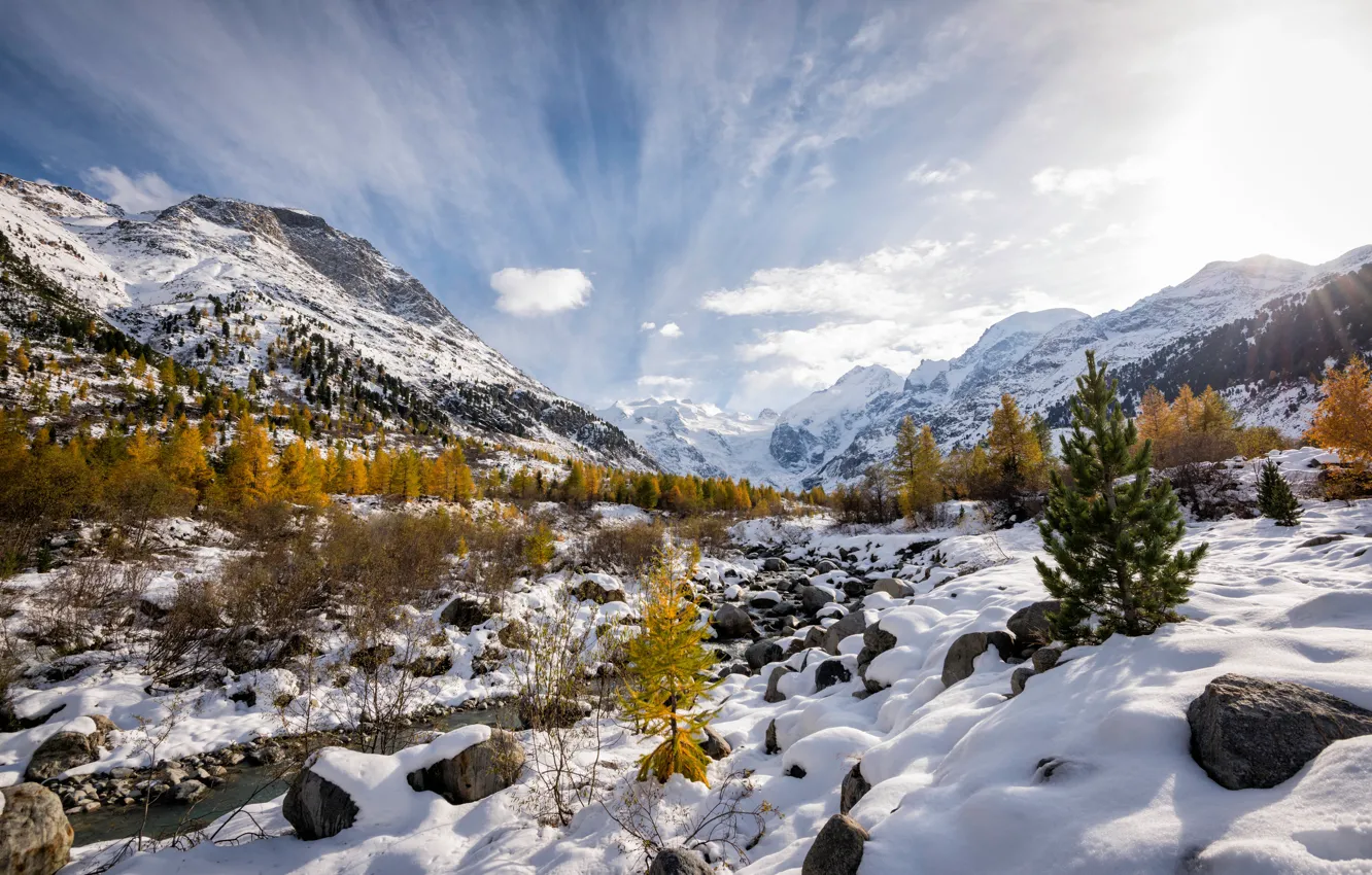 Photo wallpaper winter, nature, Switzerland, Alps, snowy mountain