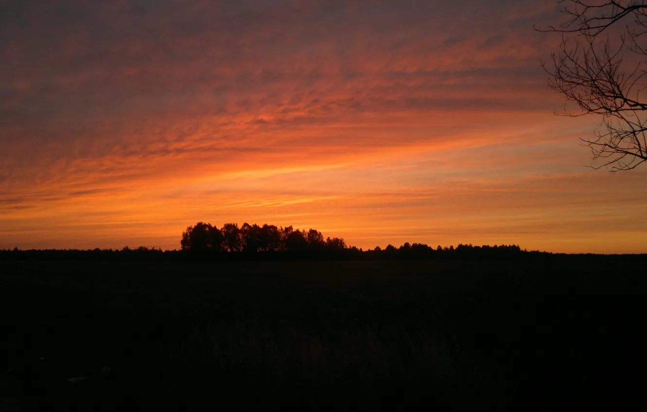 Photo wallpaper sunset, summer evening, the evening sky, field and sunset